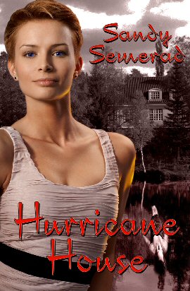 hurricane house book cover